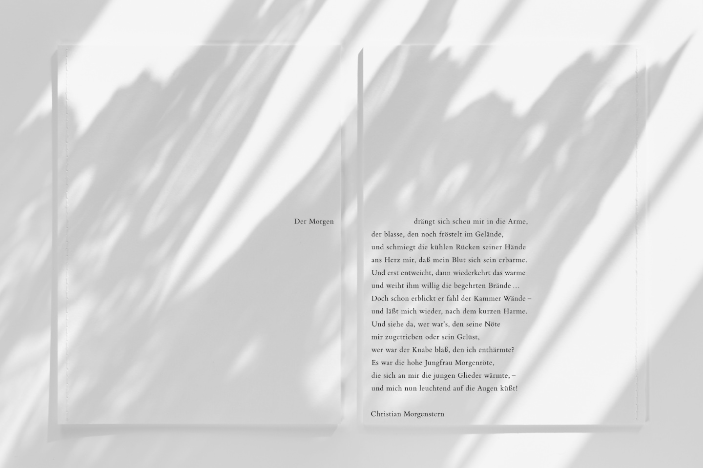 Umschlaggestaltung zum Bildband „Der Morgen“ mit einem Gedicht von Christian Morgenstern.|Cover design for the photo book “Der Morgen” with a poem by Christian Morgenstern.